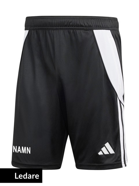 Adidas Coach Shorts TIRO24 (Backatorp IF)