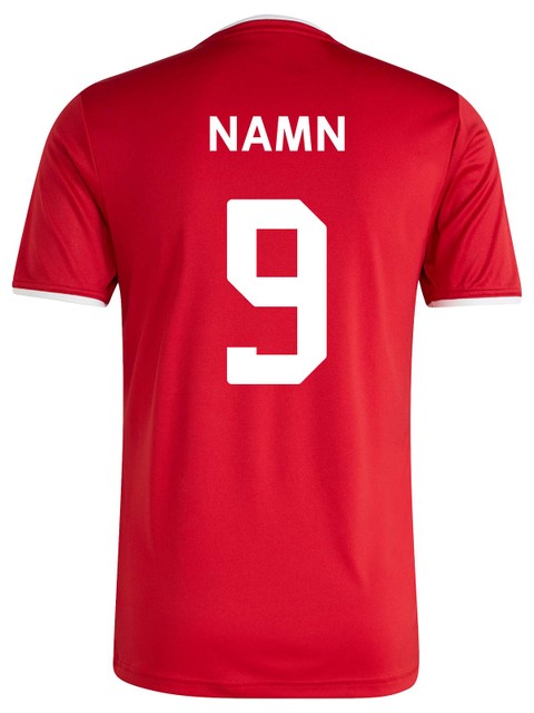 Adidas T-shirt ENTRADA26, Red (Backatorp IF)