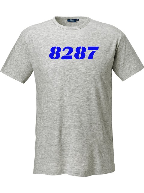 T-shirt Herr, Grå - 8287 GBG