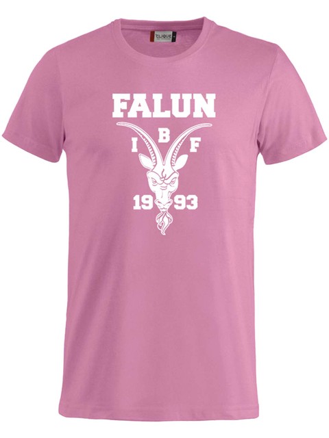 T-shirt Big logo - Junior, Rosa (IBF Falun Supportershop)