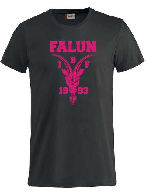 T-shirt Big logo - Junior, Black (IBF Falun Supportershop)