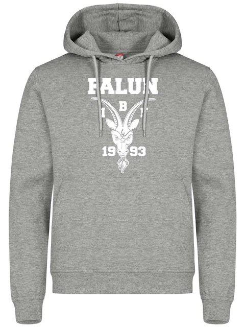 Hoodie, Grey (IBF Falun Supportershop)