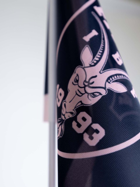 IBF Falun Supporterflag incl stick 40x60 cm (26/27)