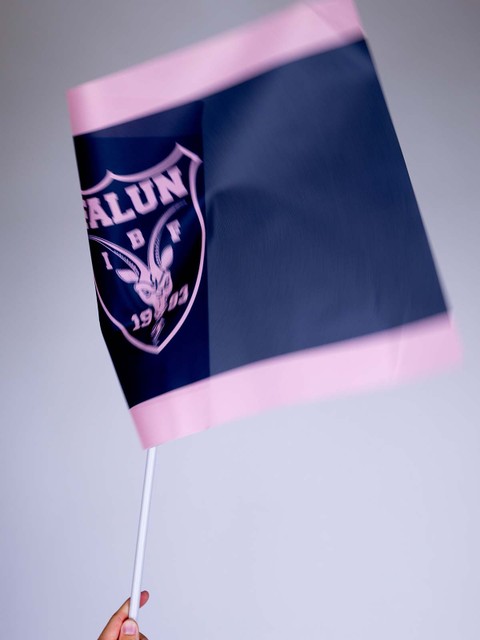 IBF Falun Supporterflag incl stick 40x60 cm (26/27)