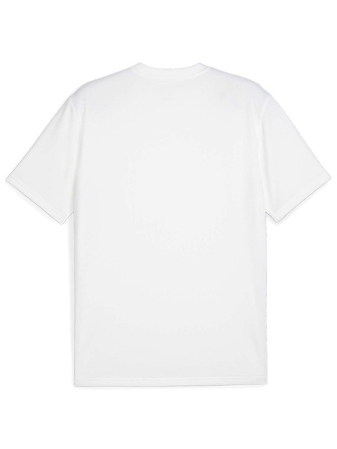 Puma T-shirt teamGOAL - Coach (Fagerhult Habo IB)