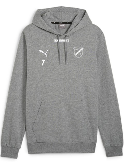 Puma Hoodie teamGOAL Casuals (Fagerhult Habo IB)