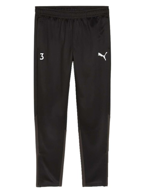 Puma Training Pant teamGOAL (Fagerhult Habo IB)