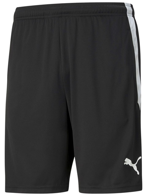 Puma Coach Shorts teamLIGA (Fagerhult Habo IB)