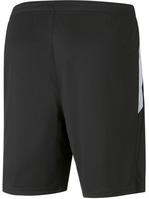 Puma Coach Shorts teamLIGA (Fagerhult Habo IB)