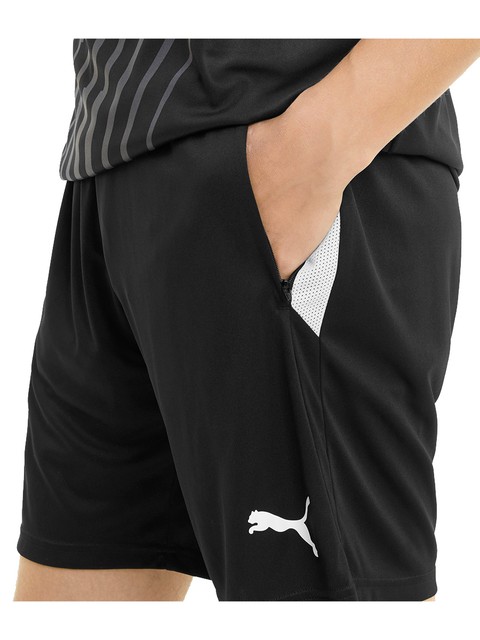 Puma Coach Shorts teamLIGA (Fagerhult Habo IB)