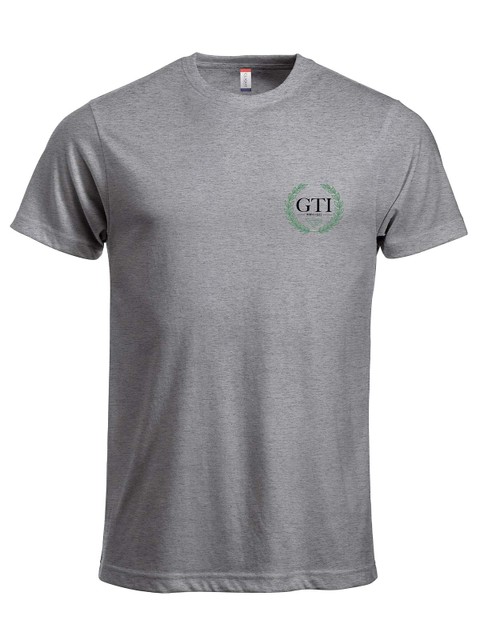 T-shirt - Small grönsvart logo, Grey (GTIs Gymnasieskola)