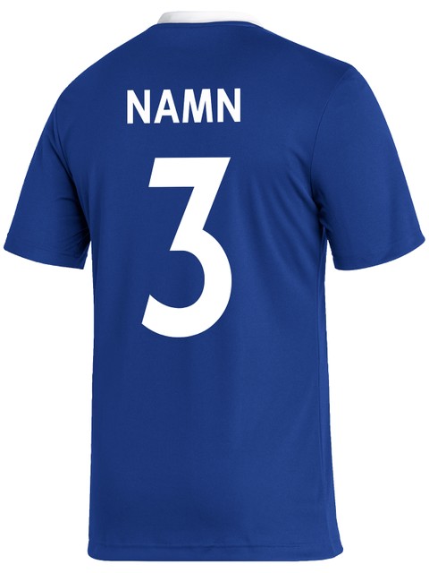 Adidas T-shirt ENTRADA22 (Hagunda IF)