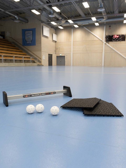 HOME-TRAINING-PACKAGE: BASIC #1