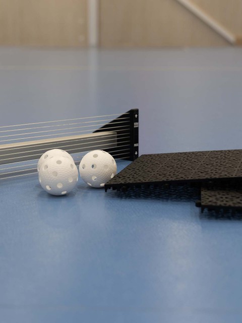 HOME-TRAINING-PACKAGE: BASIC #2