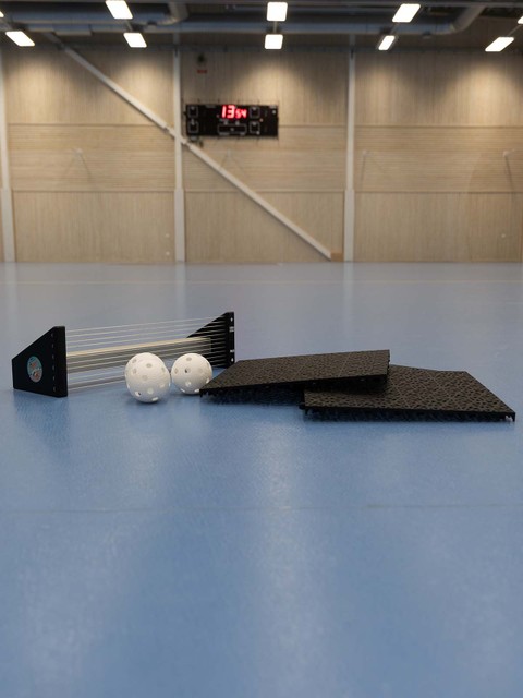 HOME-TRAINING-PACKAGE: BASIC #2