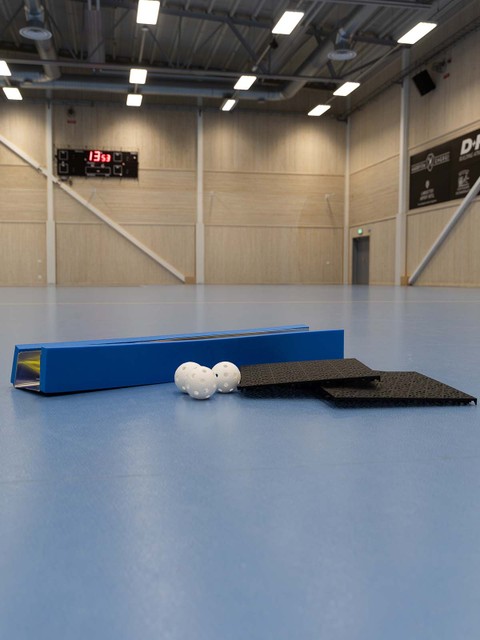 HOME-TRAINING-PACKAGE: BASIC #3