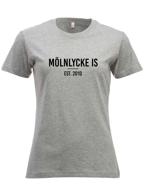 T-shirt - Supporter, Grey Melange (Mölnlycke IS)