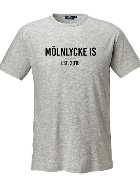 SW T-shirt Delray, Grey Melange (Mölnlycke IS)