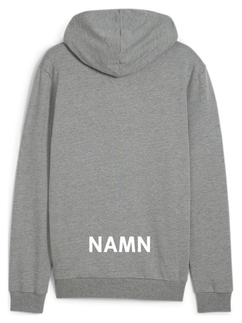 Puma Hoodie teamGOAL Casuals FZ (Nordmarkens IBF)