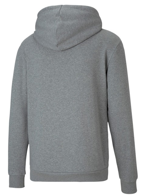 Puma Hoodtröja teamGOAL 23