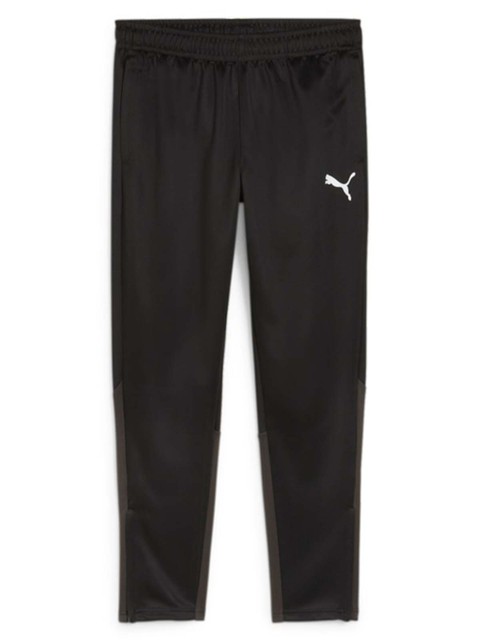 Puma teamGOAL Training Pant