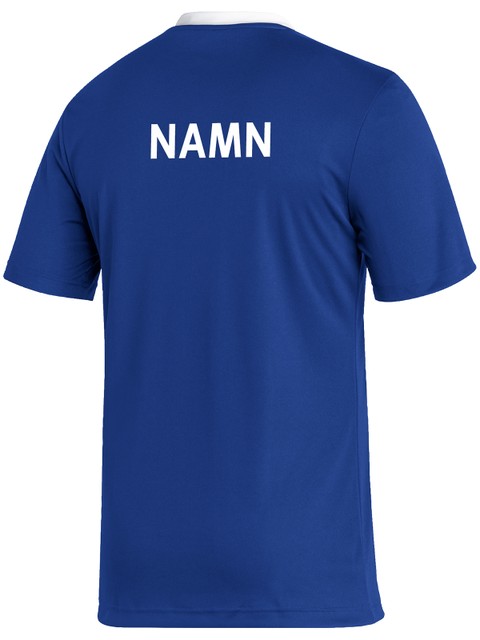 Adidas T-shirt ENTRADA22 (IBF Säter)
