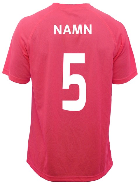 KH T-shirt Chicago 2.0, Pink (Tierp IBK)