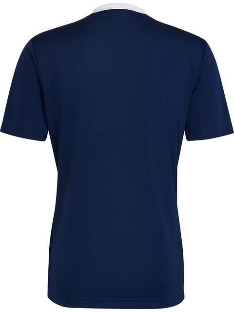 Adidas T-shirt ENTRADA22 (Visby IBK)