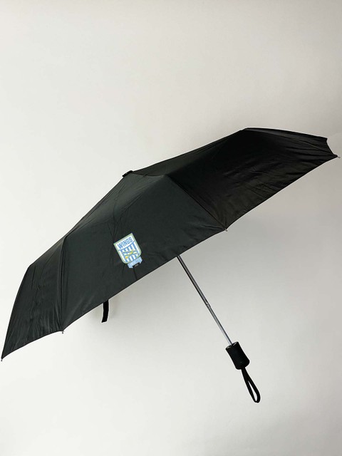 Umbrella - Compact (Landvetter Wings)