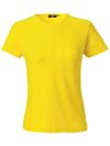SW T-shirt Venice Dam