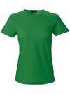 SW T-shirt Venice Dam