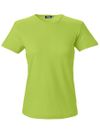 SW T-shirt Venice Dam