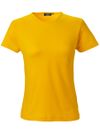 SW T-shirt Venice Dam