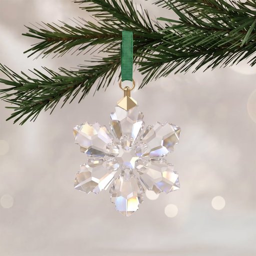 Swarovski koriste 2026