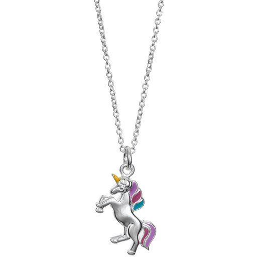 Lasten hopeinen riipus, Unicorn