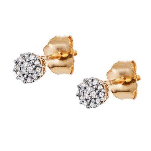 Timanttikorvakorut yht. 0,05ct 14K keltakulta