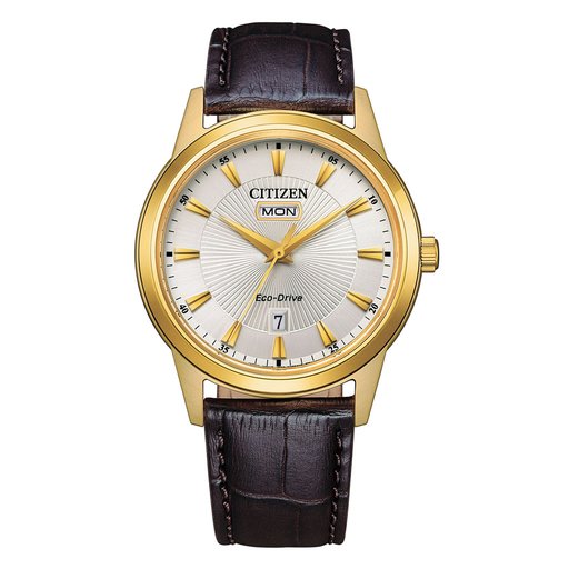 Citizen AW0102-13A Eco-Drive Classic Elegant