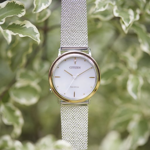 Citizen EM1006-40A Limited Edition 10th anniversary rannekello