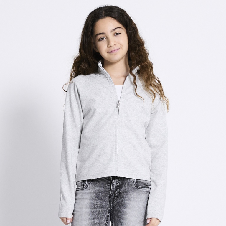 Zip sweatshirt "Tintin" Grey Melange 2