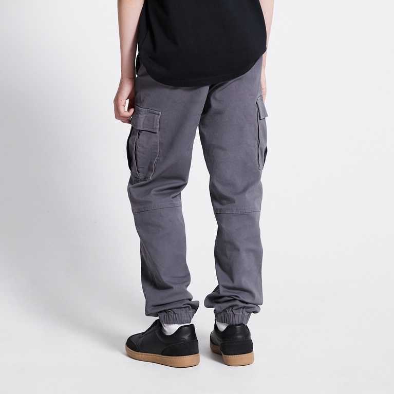 Cargo pants "Aurelius star 2.0" Grey