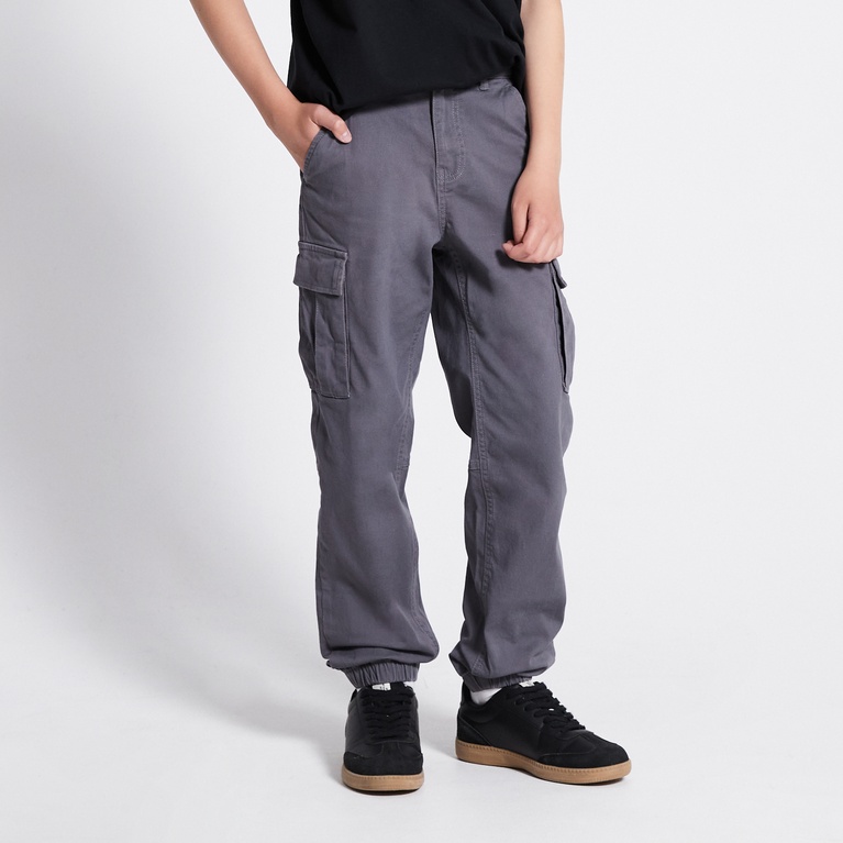 Cargo pants "Aurelius star 2.0" Grey