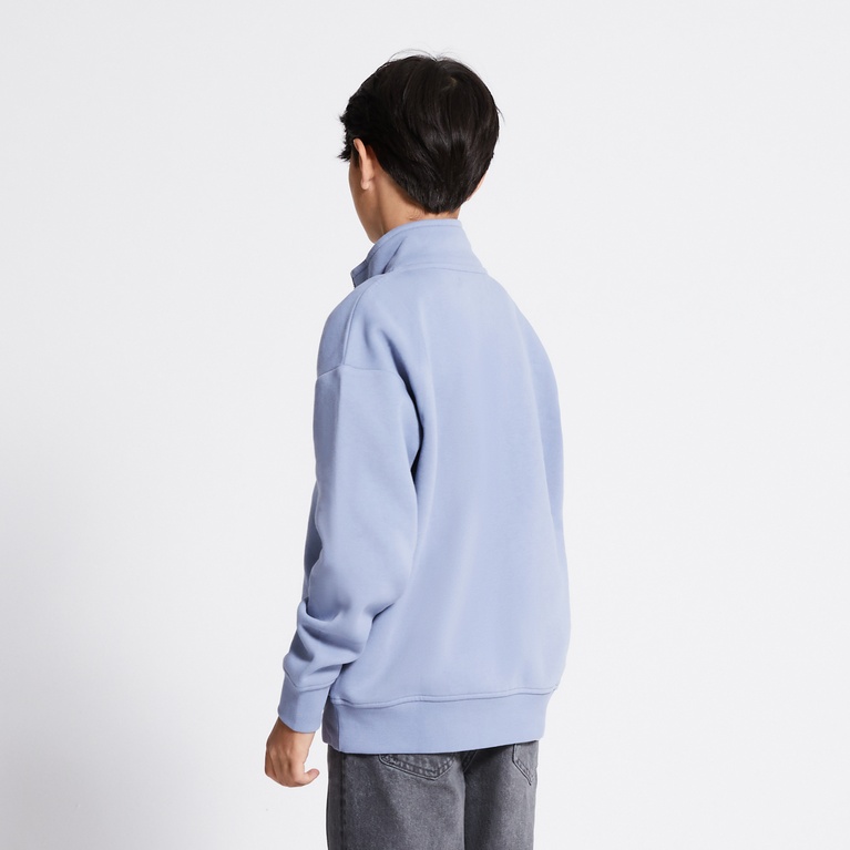 Half-zip sweatshirt "Clarkson" Light blue
