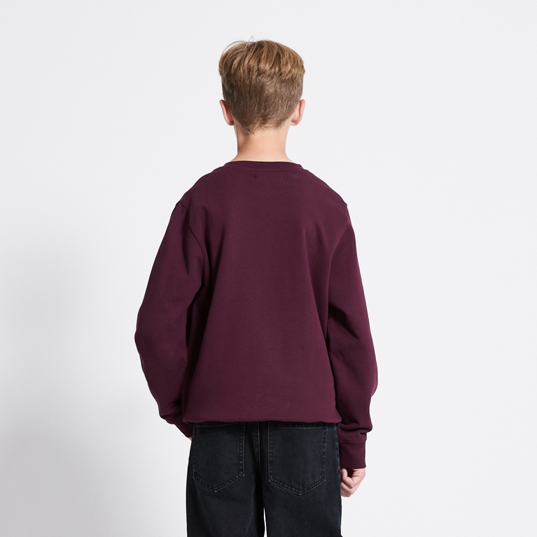 Sweatshirt "Pax star" Light Burgundy