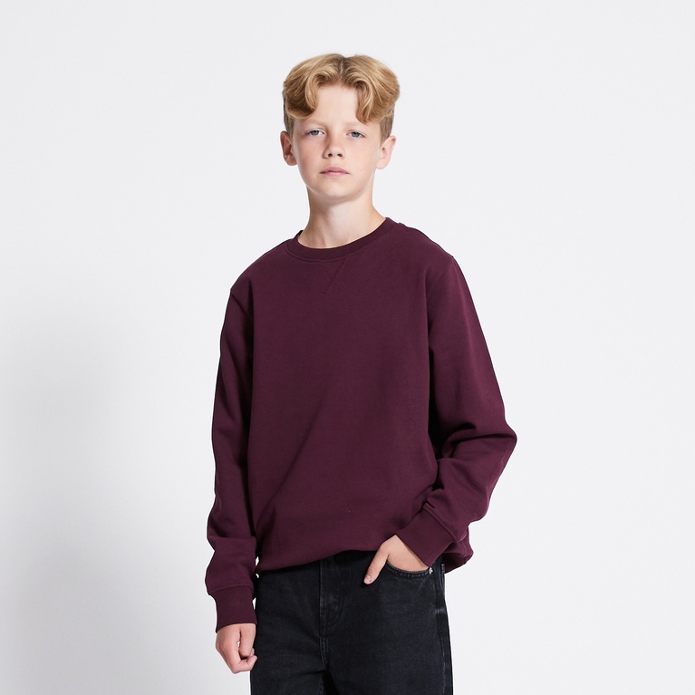 Sweatshirt "Pax star" Light Burgundy