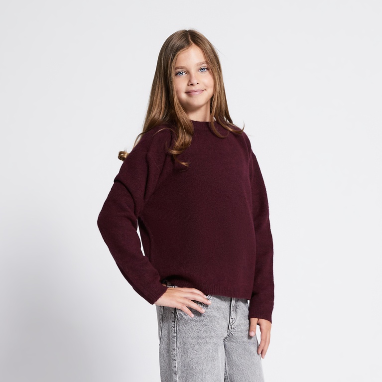 Basic knit sweater "Sadie star" Light Burgundy