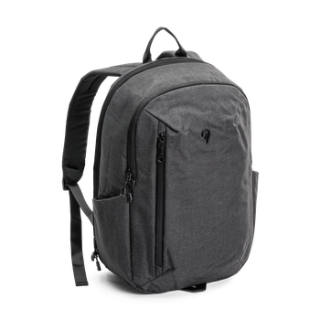 Flight Backpack Laptop 22L