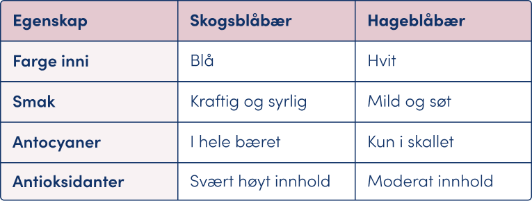 Tabell som viser forskjellen i egenskaper på skogsblåbær og hageblåbær.