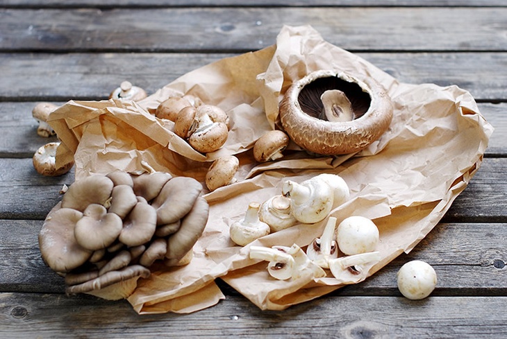 Olika svampar liggandes på papperspåse 