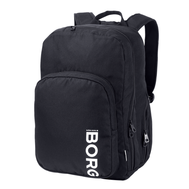 Core Curve Backpack, Ryggsekk PC