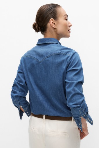 Regular western shir